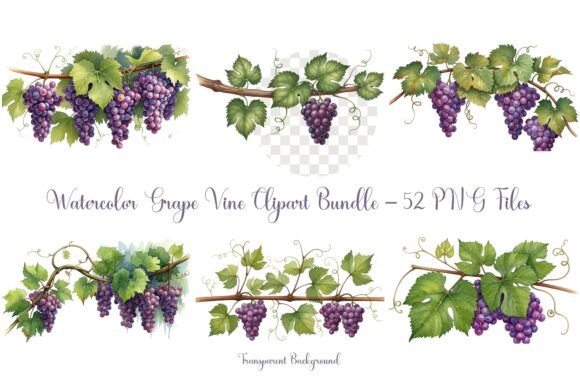 Bring the Vineyard Home with Grape Vine Watercolor Clipart
