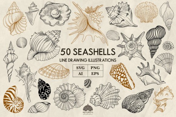 Seashells Line Art Collection: 50 Hand-Drawn SVG & PNG Assets