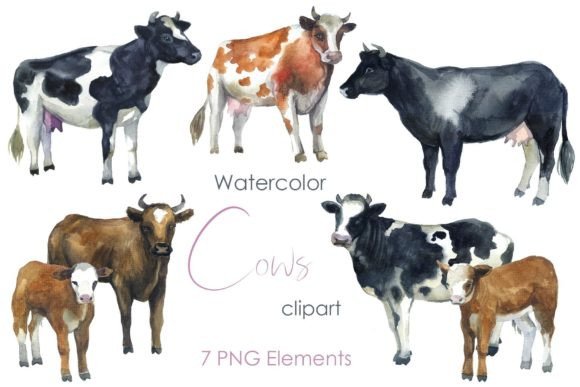 Watercolor Cow Clipart: Farm PNG for Creative Projects